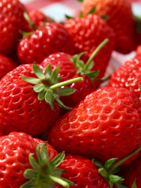 High on Strawberries